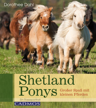 Dorothee Dahl: Shetlandponys
