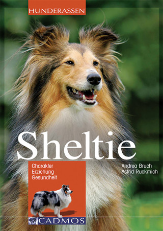 Andrea Bruch: Sheltie