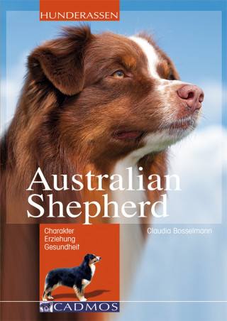 Claudia Bosselmann: Australian Shepherd