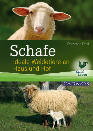 Dorothee Dahl: Schafe