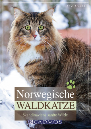 Eva Ewald: Norwegische Waldkatze