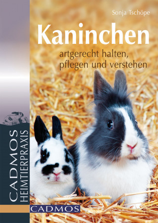 Sonja Tschöpe: Kaninchen