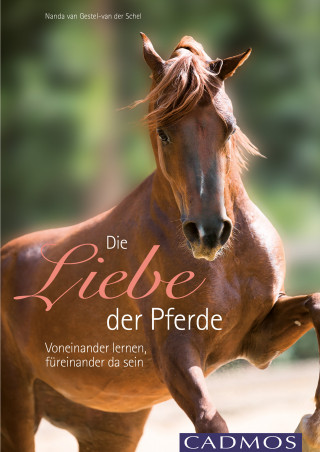 Nanda van Gestel - van der Schel: Die Liebe der Pferde