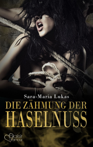 Sara-Maria Lukas: Hard & Heart 3: Die Zähmung der Haselnuss