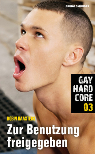Robin Haasters: Gay Hardcore 03: Zur Benutzung freigegeben