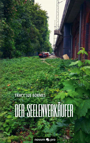Tracy Sue Bormes: Der Seelenverkäufer