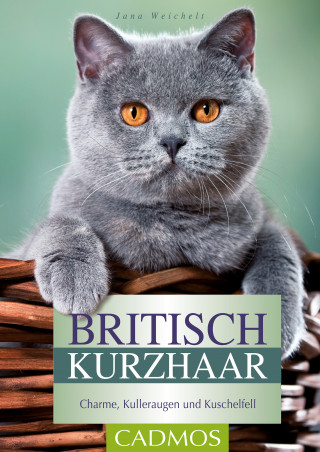 Jana Weichelt: Britisch Kurzhaar