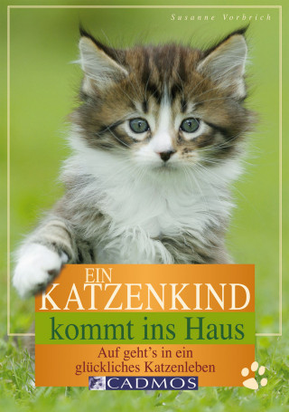 Susanne Vorbrich: Ein Katzenkind kommt ins Haus