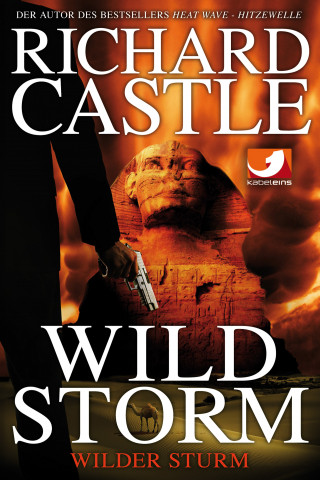 Richard Castle: Derrick Storm 2: Wild Storm - Wilder Sturm