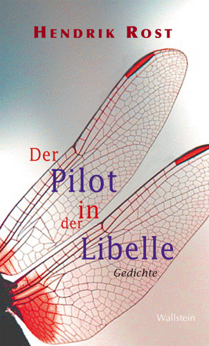 Hendrik Rost: Der Pilot in der Libelle