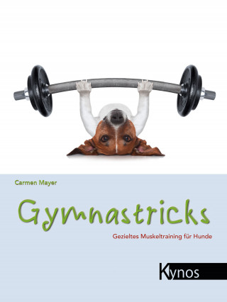 Carmen Mayer: Gymnastricks