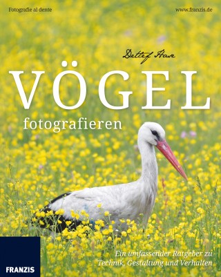 Detlef Hase: Vögel fotografieren