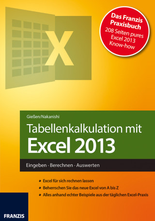 Saskia Gießen, Hiroshi Nakanishi: Tabellenkalkulation mit Excel 2013