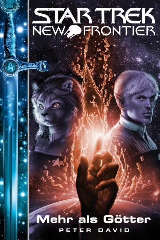 Peter David: Star Trek - New Frontier 12: Mehr als Götter