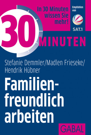 Stefanie Demmler, Hendrik Hübner, Madlen Frieseke: 30 Minuten Familienfreundlich arbeiten