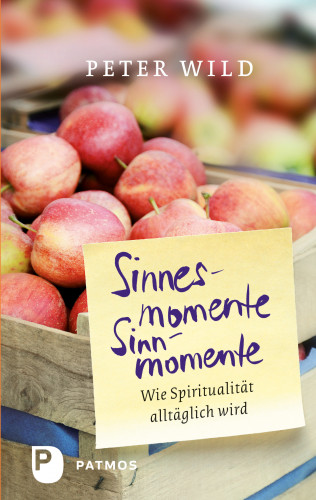 Peter Wild: Sinnesmomente - Sinnmomente