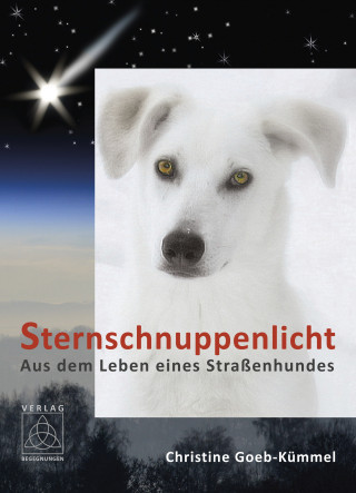 Christine Goeb-Kümmel: Sternschnuppenlicht