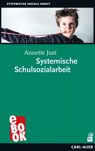 Annette Just: Systemische Schulsozialarbeit