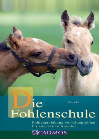 Renate Ettl: Die Fohlenschule