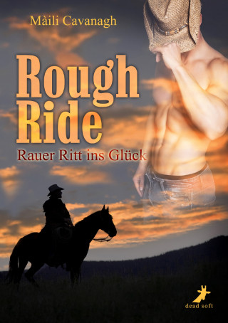 Máili Cavanagh: Rough Ride - Rauer Ritt ins Glück