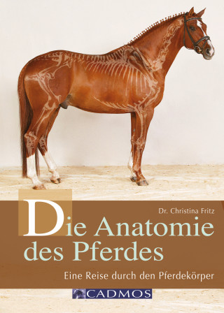 Christina Fritz: Die Anatomie des Pferdes