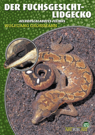 Wolfgang Grossmann: Der Fuchsgesicht-Lidgecko