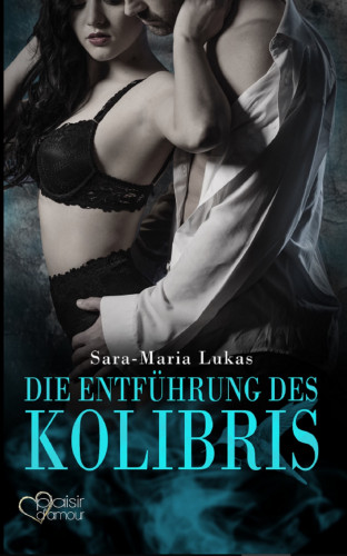 Sara-Maria Lukas: Hard & Heart 1: Die Entführung des Kolibris