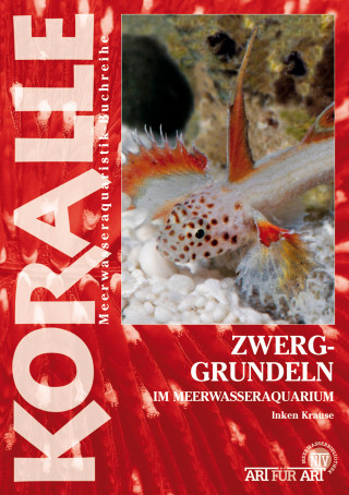 Inken Krause: Zwerggrundeln im Meerwasseraquarium