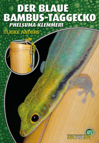 Ulrike Anders: Der Blaue Bambus Taggecko