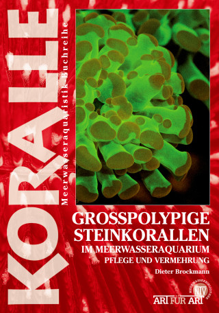 Dieter Brockmann: Grosspolypige Steinkorallen im Meerwasseraquarium