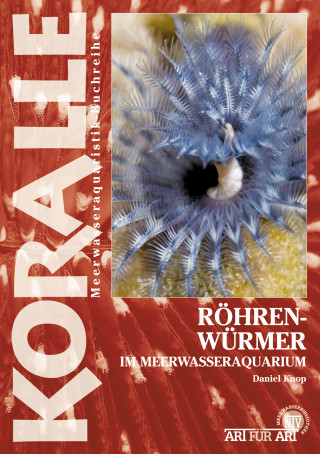 Daniel Knop: Röhrenwürmer im Meerwasseraquarium