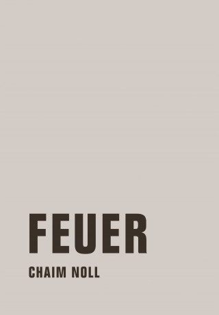 Chaim Noll: Feuer