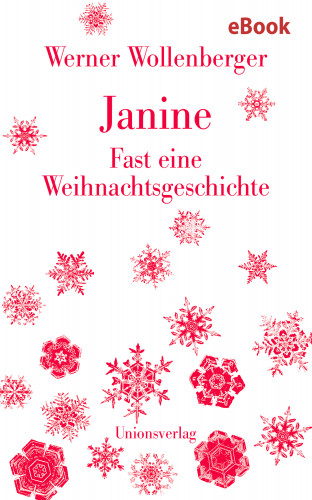 Werner Wollenberger: Janine – Fast eine Weihnachtsgeschichte