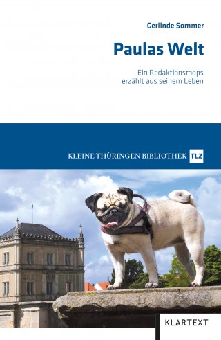 Gerlinde Sommer: Paulas Welt