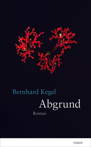 Bernhard Kegel: Abgrund
