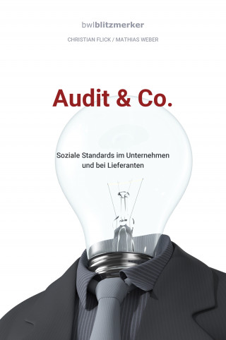 Christian Flick, Mathias Weber: bwlBlitzmerker: Audit & Co.