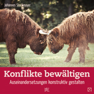 Johannes Stockmayer: Konflikte bewältigen