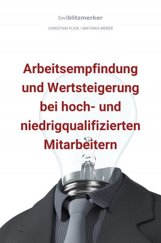 Christian Flick, Mathias Weber: bwlBlitzmerker: Arbeitsempfindung und Wertsteigerung bei hoch- und niedrigqualifiz. Mitarbeitern