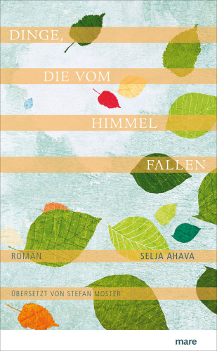 Selja Ahava: Dinge, die vom Himmel fallen