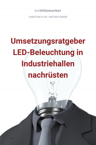 Christian Flick, Mathias Weber: bwlBlitzmerker: Umsetzungsratgeber LED-Beleuchtung in Industriehallen nachrüsten