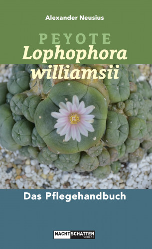 Alexander Neusius: Peyote - Lophophora williamsii
