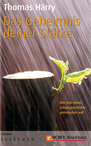 Thomas Härry: Das Geheimnis deiner Stärke