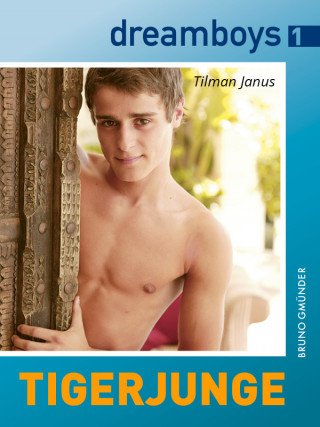 Tilman Janus: dreamboys 1: Tigerjunge