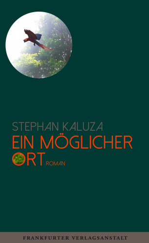Stephan Kaluza: Ein möglicher Ort