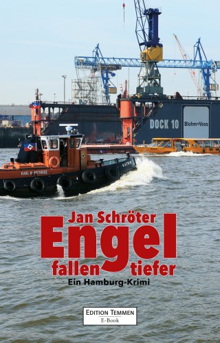 Jan Schröter: Engel fallen tiefer