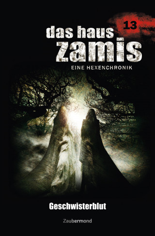 Uwe Voehl, Rüdiger Silber, Dario Vandis: Das Haus Zamis 13 - Geschwisterblut