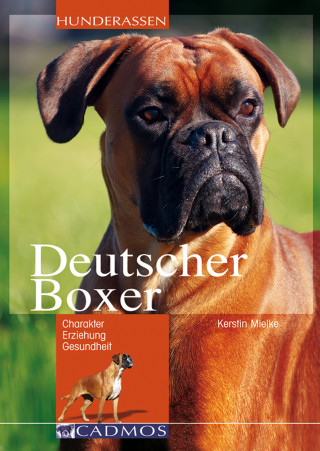 Kerstin Mielke: Deutscher Boxer