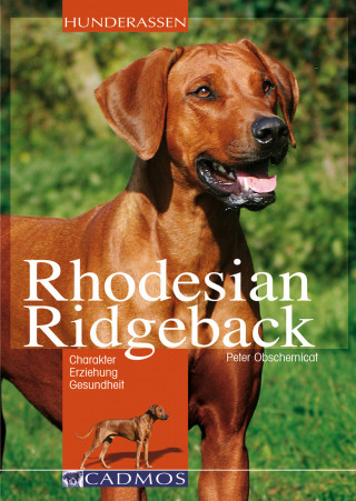 Peter Obschernicat: Rhodesian Ridgeback