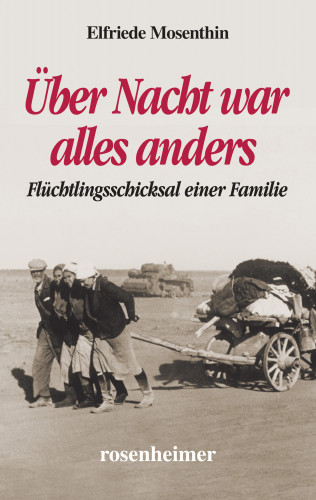 Elfriede Mosenthin: Über Nacht war alles anders
