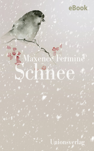 Maxence Fermine: Schnee
